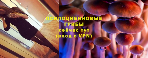 крисы Новодвинск