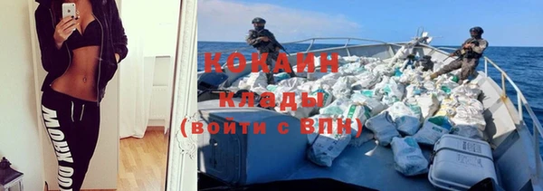 крисы Новодвинск