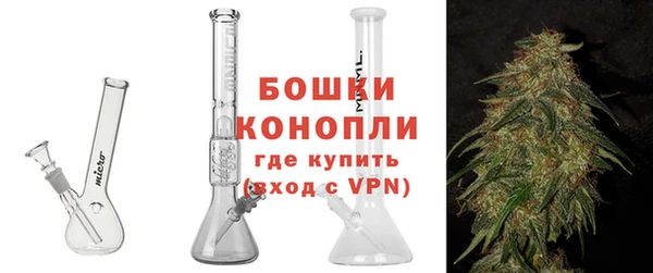 крисы Новодвинск