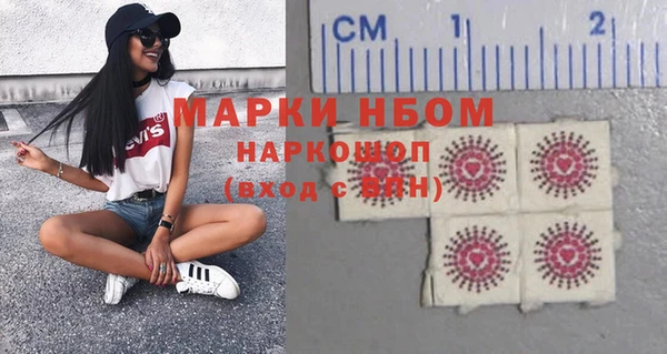 крисы Новодвинск