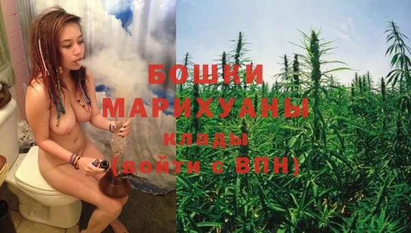 крисы Новодвинск