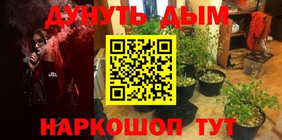 молекула духа Будённовск