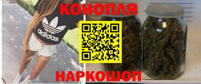 молекула духа Будённовск