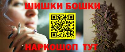 молекула духа Будённовск