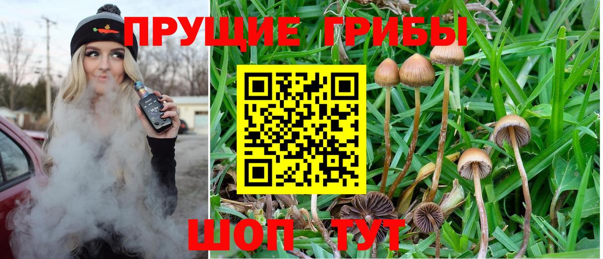 Псилоцибиновые грибы ЛСД  Псилоцибиновые грибы ЛСД  Зеленодольск 