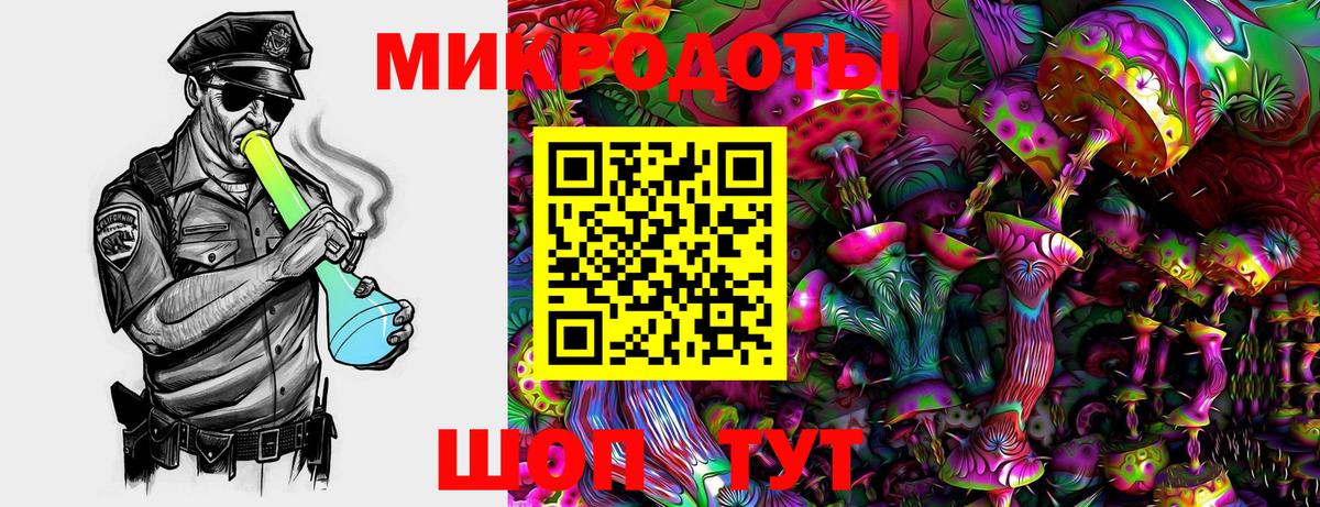 Зеленодольск  Галлюциногенные грибы мухоморы  Вход с VPN  Псилоцибиновые грибы Psilocybe 