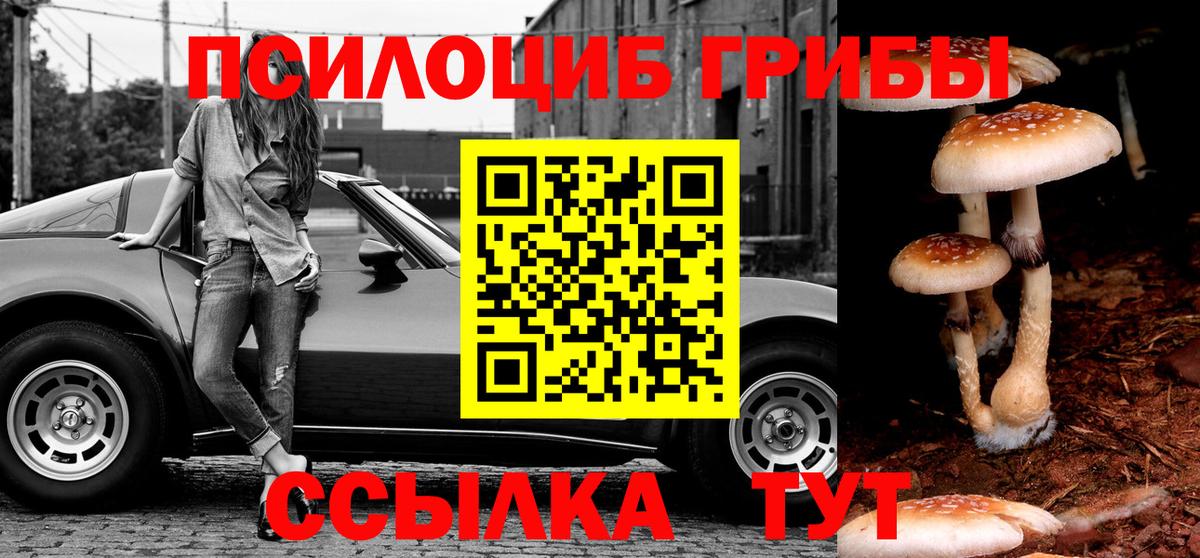 Галлюциногенные грибы Psilocybine cubensis Зеленодольск