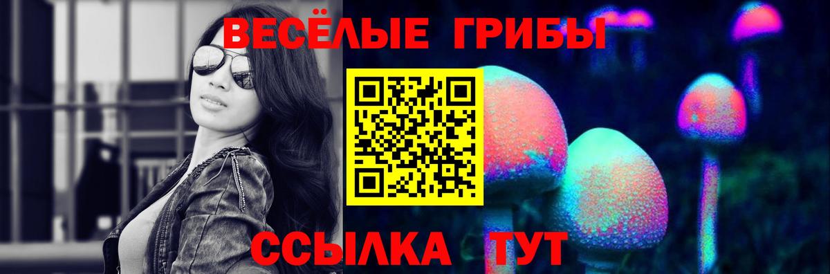 Псилоцибиновые грибы мицелий  Зеленодольск 